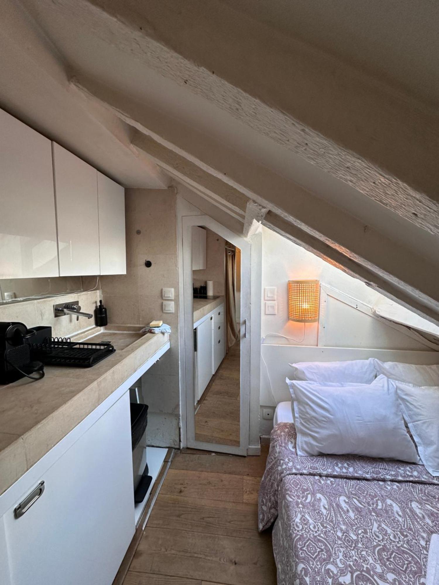Marais Rooftop Studio - Metro Filles Du Calvaire Apartment Paris Ngoại thất bức ảnh
