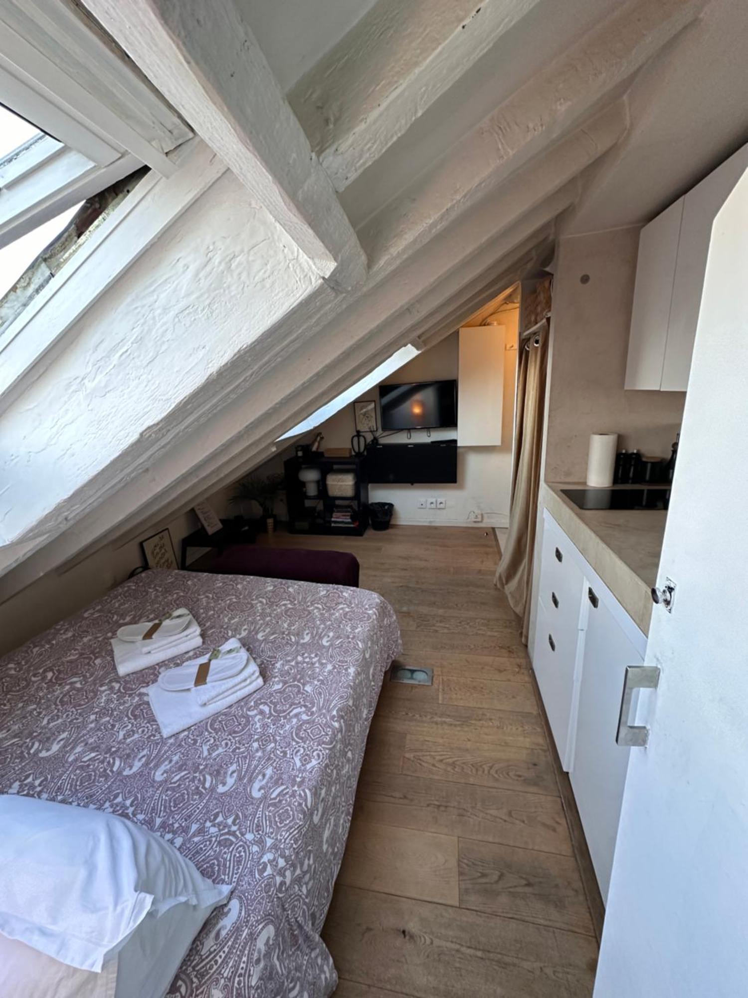 Marais Rooftop Studio - Metro Filles Du Calvaire Apartment Paris Ngoại thất bức ảnh